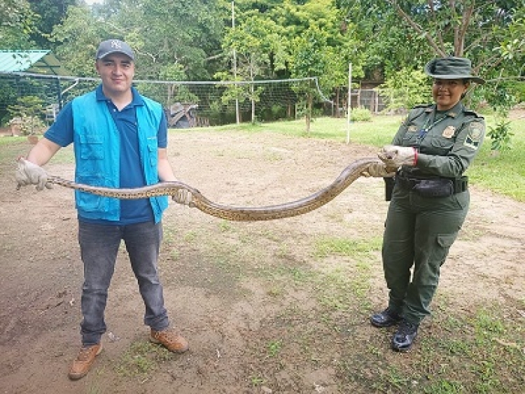 Autoridades rescataron un güío en la vereda Palomas
