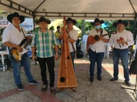 Músicos de Tauramena denuncian robo mediante la modalidad de falso servicio