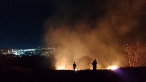 Nuevamente arde El Venado