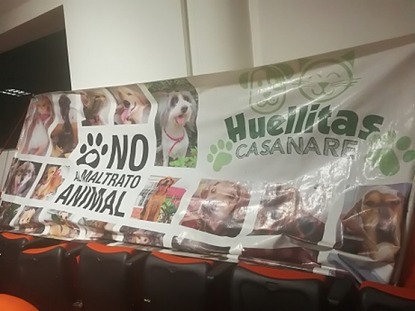 Con debate político se creó grupo de trabajo que rescate el Coso Municipal de Yopal