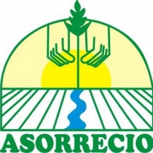 Ante riesgo inminente por posible erupción del volcán Nevado del Ruiz ASORRECIO pide responsabilidad social