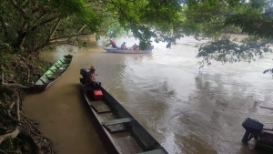 Continúa búsqueda de adulto mayor desaparecido en el río Túa