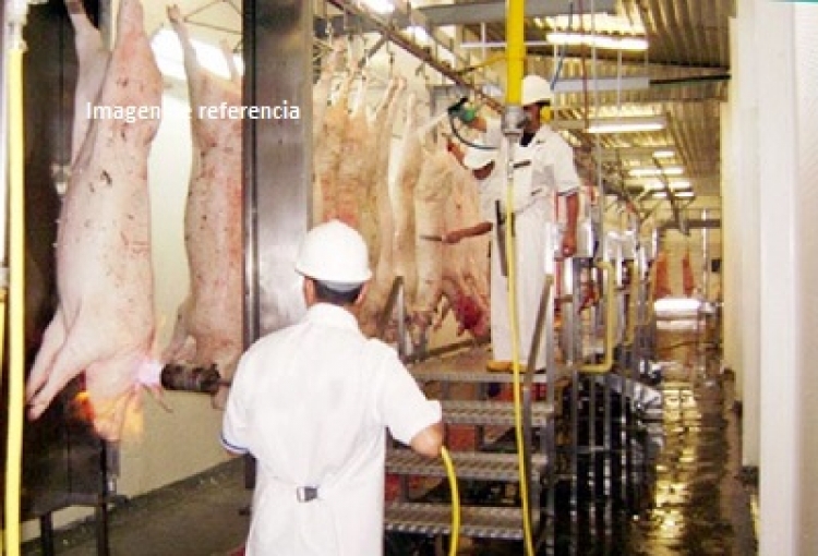 Alcaldía de Yopal concesionó manejo de la planta de sacrificio animal por 25 años