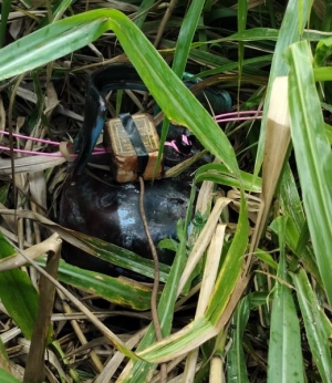 Desactivan diez cilindros bombas en zona rural de Arauquita
