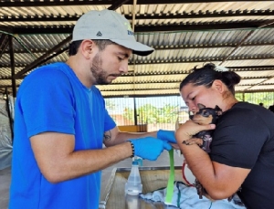 Se adelantó jornada de esterilización para mascotas en Villanueva