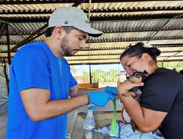 Se adelantó jornada de esterilización para mascotas en Villanueva