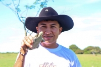 Seiscientas tortugas fueron liberadas en la reserva natural La Esperanza