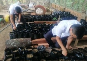 2.000 mil árboles reforestados tiene proyectado entregar este año el Colegio Divino Salvador