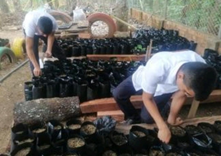 2.000 mil árboles reforestados tiene proyectado entregar este año el Colegio Divino Salvador