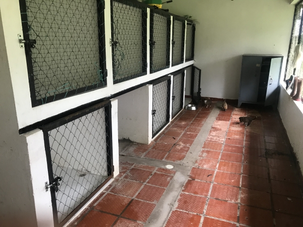 Invertirán recursos para remodelación de albergue de animales en Yopal