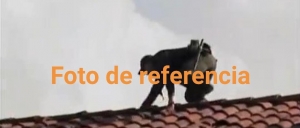 Ladrón cayó de un tejado cuando huía de la Policía y terminó con lesiones en su cuerpo