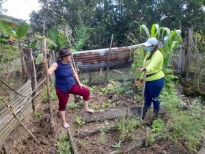 149 familias campesinas de 28 veredas de Yopal recibieron apoyo para fortalecer iniciativas productivas agropecuarias