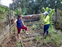 149 familias campesinas de 28 veredas de Yopal recibieron apoyo para fortalecer iniciativas productivas agropecuarias