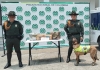Con la ayuda de guía caninos Policía incautó 10 mil dosis de estupefacientes