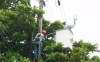 Suspensiones de energía del 5 al 7 de octubre en varios municipios de Casanare y Pajarito, Boyacá