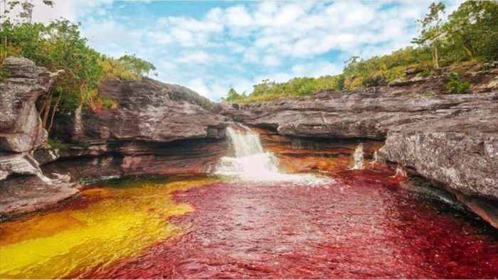 Fuertes sanciones se impondrán a quienes intenten entrar de manera ilegal a Caño Cristales
