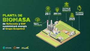 En Villanueva construirán planta de biomasa para suministrar energía eléctrica al Grupo Ecopetrol