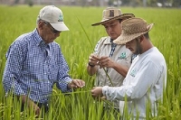 Arrancó el XXXIX Congreso Nacional Arrocero
