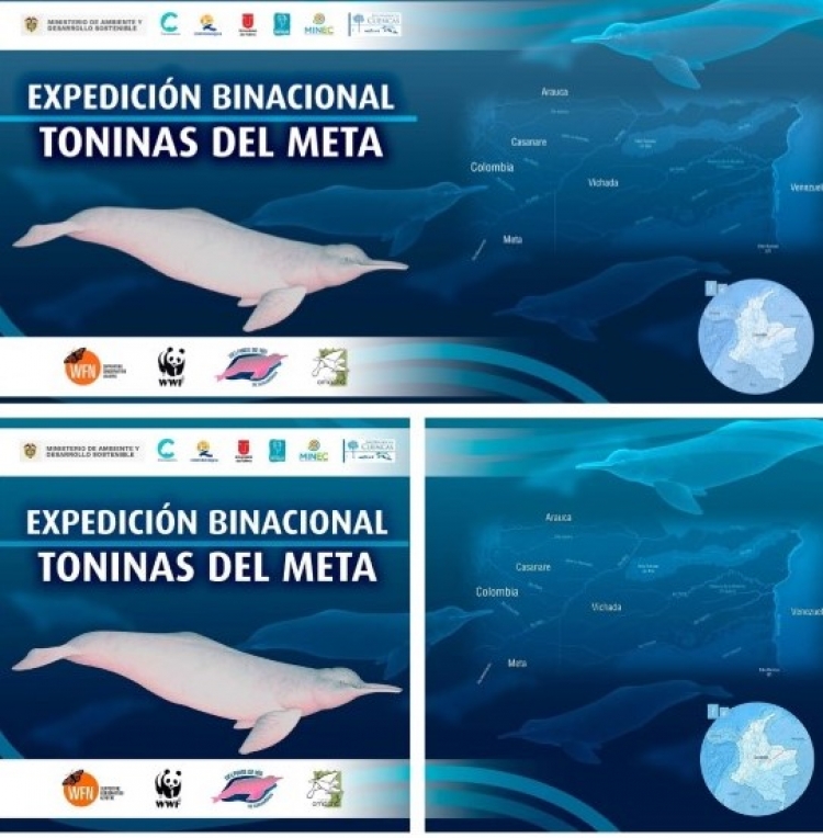 Corporinoquia presente en Expedición Toninas del Meta