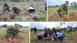 Día del árbol: En la Orinoquia colombiana se sembraron más de 10.000 especies nativas