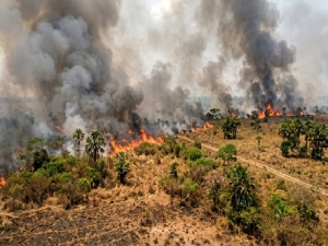 Corporinoquia advierte sobre alerta roja por incendios forestales en Casanare y Vichada