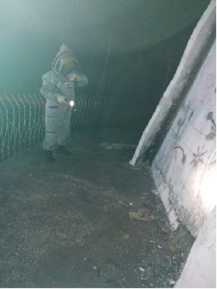 Bomberos atendió emergencia por ataque de abejas cerca del monumento de la Virgen de Manare