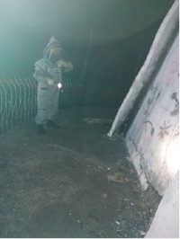 Bomberos atendió emergencia por ataque de abejas cerca del monumento de la Virgen de Manare