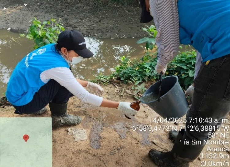 Corporinoquia investiga muerte de peces en caño Totumo y laguna La Conquista en Arauca