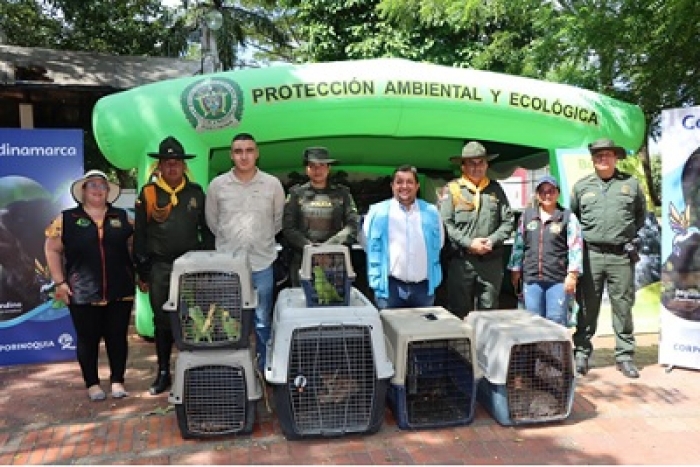 En Maní se llevó a cabo jornada de entrega voluntaria de fauna silvestre