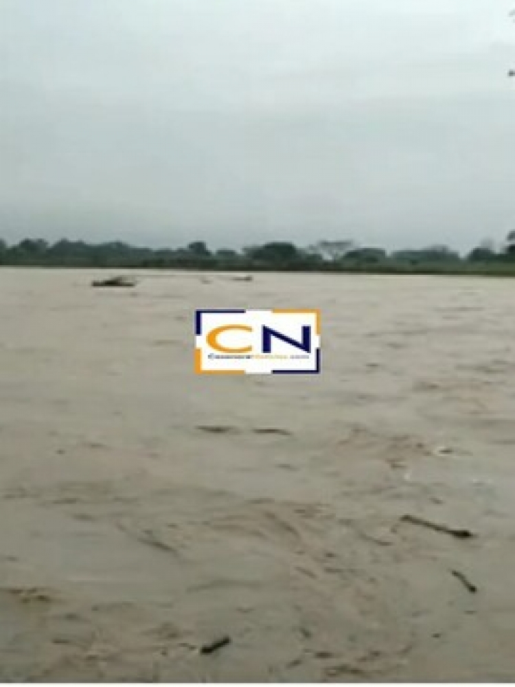 Río Cusay se desbordó y arrasó cultivos de plátano y cacao en Tame