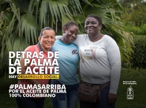 Mujeres palmeras, protagonistas de campaña sobre cultivo de palma de aceite