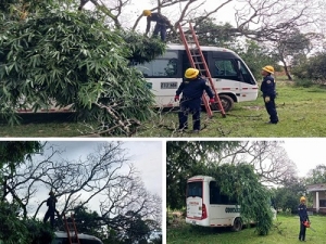 Fuertes vientos ocasionaron la caída de las ramas de un árbol sobre una buseta
