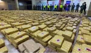 Autoridades incautaron más de 4 toneladas de marihuana en zona rural de Trinidad