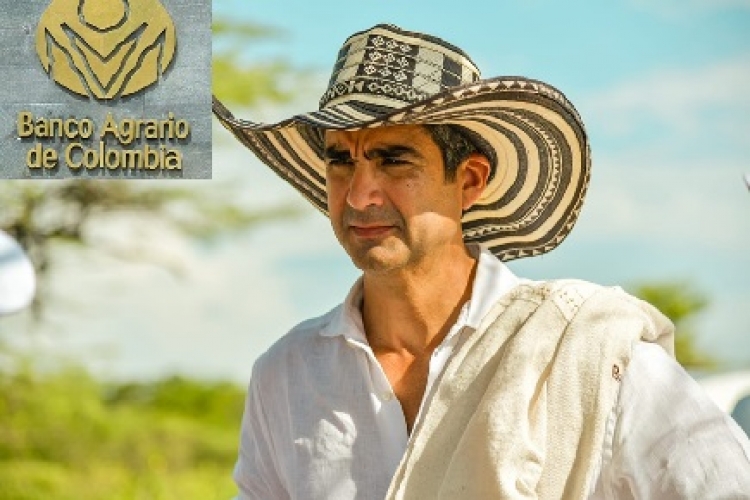 Banco Agrario desembolso de créditos de11,2 billones de pesos en 2024