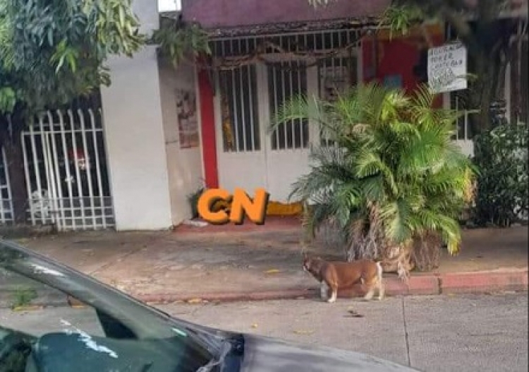 Hombre asesinado en la calle 27 presentaba antecedentes penales