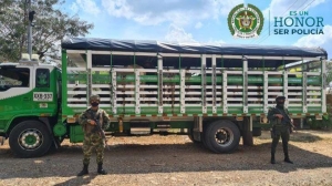 Recuperan 16 semovientes en la vereda el Cedral del municipio de Hato Corozal