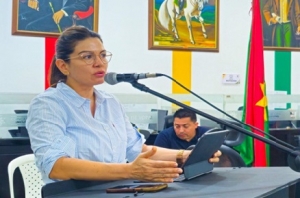Obras de infraestructura y una partida para el Indev hacen parte de las vigencias futuras aprobadas por el Concejo