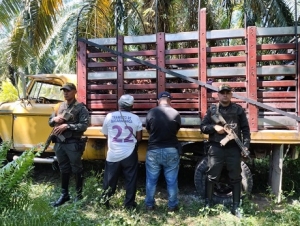 Dos personas capturadas por el robo de fruto de palma de aceite en Sabana de Torres, Santander