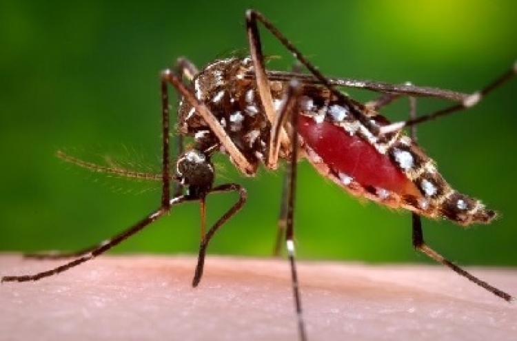 Casanare reporta 30 casos de dengue grave en 2023