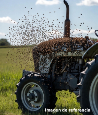 Fue encontrado sin vida tractorista desaparecido luego de ser atacado por un enjambre de abejas