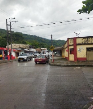 Foto de Referencia