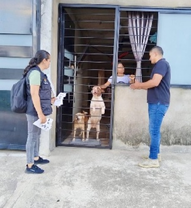 Como te quiero, te cuido: La propuesta de la Alcaldía de Yopal para evitar el maltrato animal