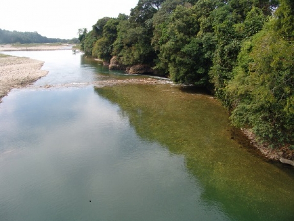 Cuenca del río Tua entra en proceso de ordenación