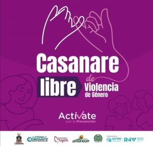 Más de 2 mil casos de violencia de género e intrafamiliar se han registrado en Casanare