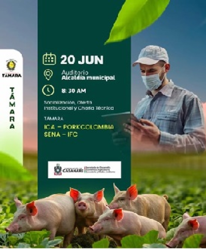 Este 20 de junio se adelantará jornada de capacitación para porcicultores de Támara