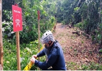 Día mundial contra minas antipersonales: Colombia avanza en desminado con Casanare como ejemplo