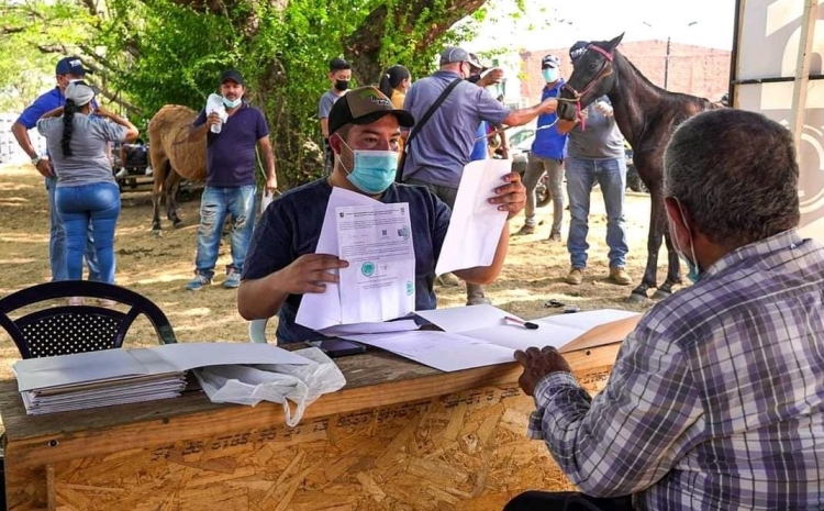 Continúan mesas de trabajo de proyecto de sustitución de vehículos de tracción animal en Yopal