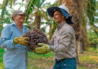 Fedepalma abre convocatorias para fotografía, liderazgo femenino y sostenibilidad en el sector palmero