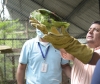 48 individuos de fauna silvestre fueron liberados en zona rural de Yopal