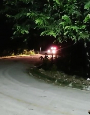 Adulto mayor baleado en la mandíbula en hechos registrados en el municipio de Maní